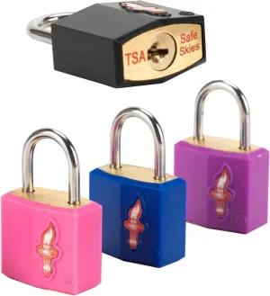 4 Pack Mini Locks with Key,Luggage Lock TSA Approved, TSA Approved Suitcase Lock for Luggage, Suitcase, Carry On, Backpack, Laptop Bag or Purse,4 Pack Family Set.