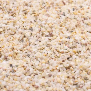 Coarse Sand. Golden Color. 1/8 Inch 5 lbs. for Potting Soil, Succulents, Pots, Plants, Gardening, Indoor, Crafting, Vase Fillers (X-Mini (0.125 Inch), COARSE Sand - Golden, 5)