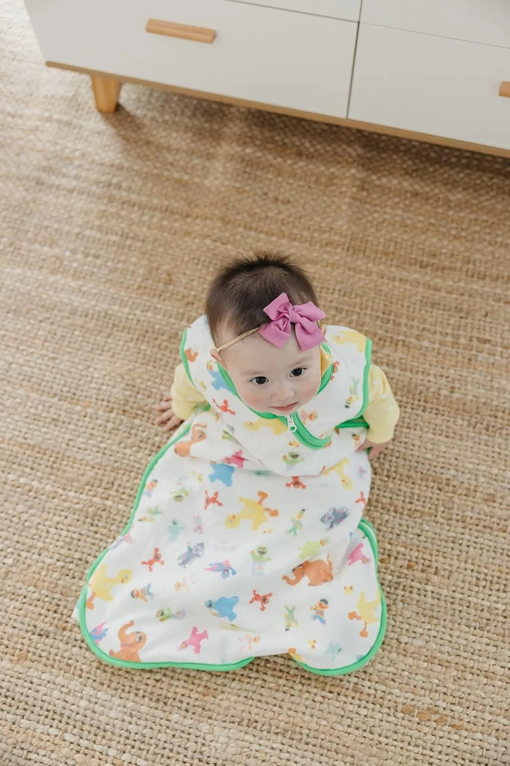 Copper Pearl Sleep Sack: Warm and Cozy Baby Bag in a Variety of Trendy Designs, Safe Alternative to Blankets, Sleeveless Baby Sleep Sack Swaddle Sizes Newborn to 24 Months - Sesame Friends