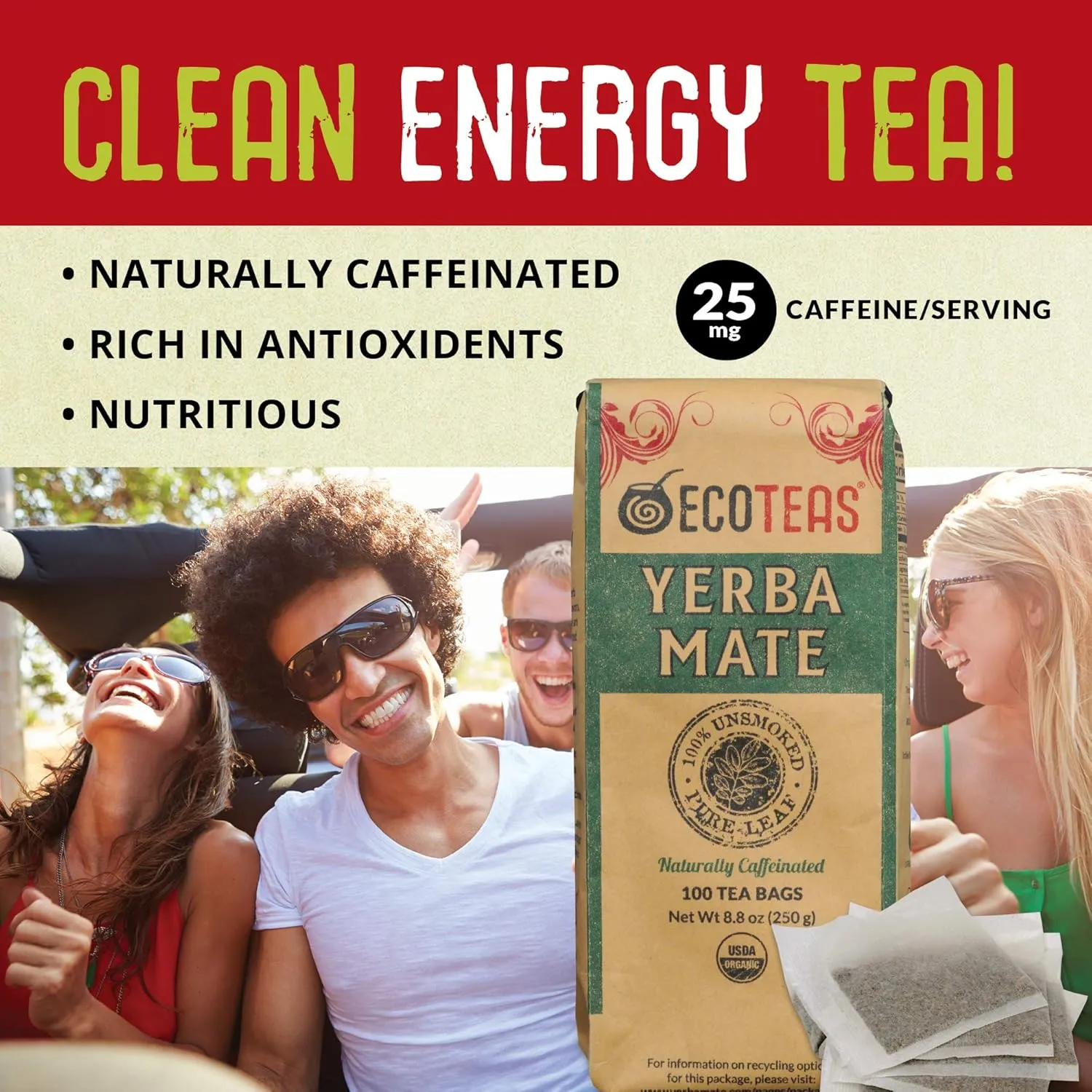 ECOTEAS Organic Yerba Mate Tea Bags – Natural Energy & Detox Herbal Tea – Coffee Alternative - Kosher, Non-GMO, Gluten-Free - 100 Unsmoked Bulk Bags, 8.8 oz (Pack of 1)
