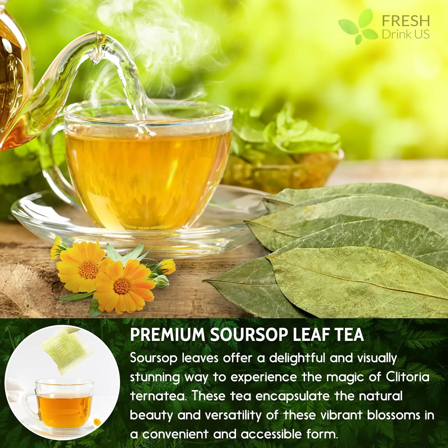 FreshDrinkUS, 240  Premium Soursop Graviola Dried Leaves Tea, 230-250 Whole Soursop Leaves, Wildcrafted, Graviola , Guanabana , Hoja Guanabana, Loose Leaf Herbal , No Gluten, Vegan