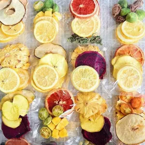 HAECHI Fruit Tea 20 bags of Vitamin C Boosting, Beauty & Gut Health Cold Brew Infusions with Freeze-Dried Fruits and Sugar Cubes 14.11 0Z（20g Each Bag） (Assorted Fruit Tea A)