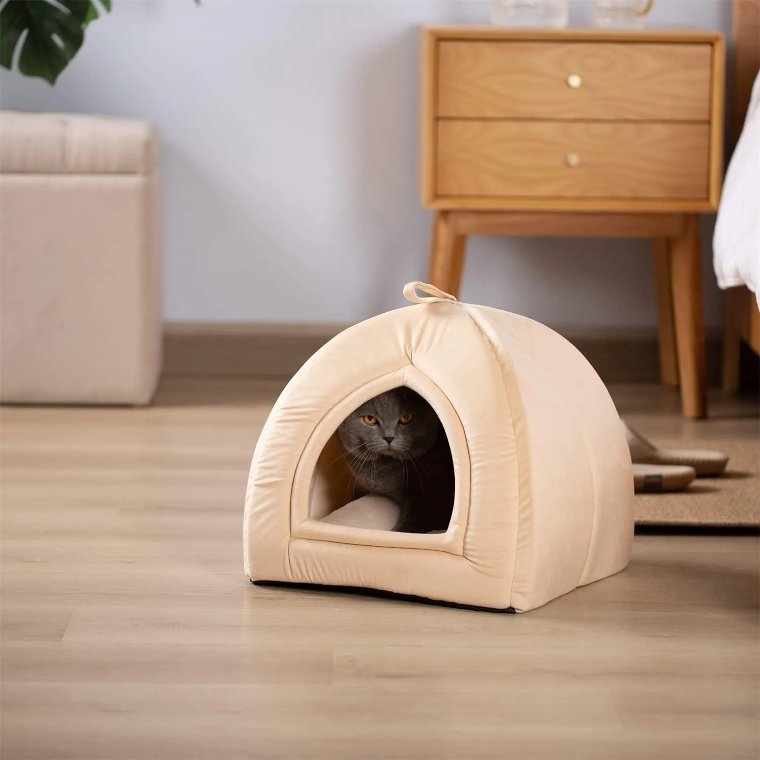 KASENTEX Cat Bed for Indoor Cats, 2-in-1 Cat House Pet Supplies for Large Cat or Small Dog - Animal Cave, Cat Tent with Removable Washable Pillow Cushion (Camel 19x19x19)