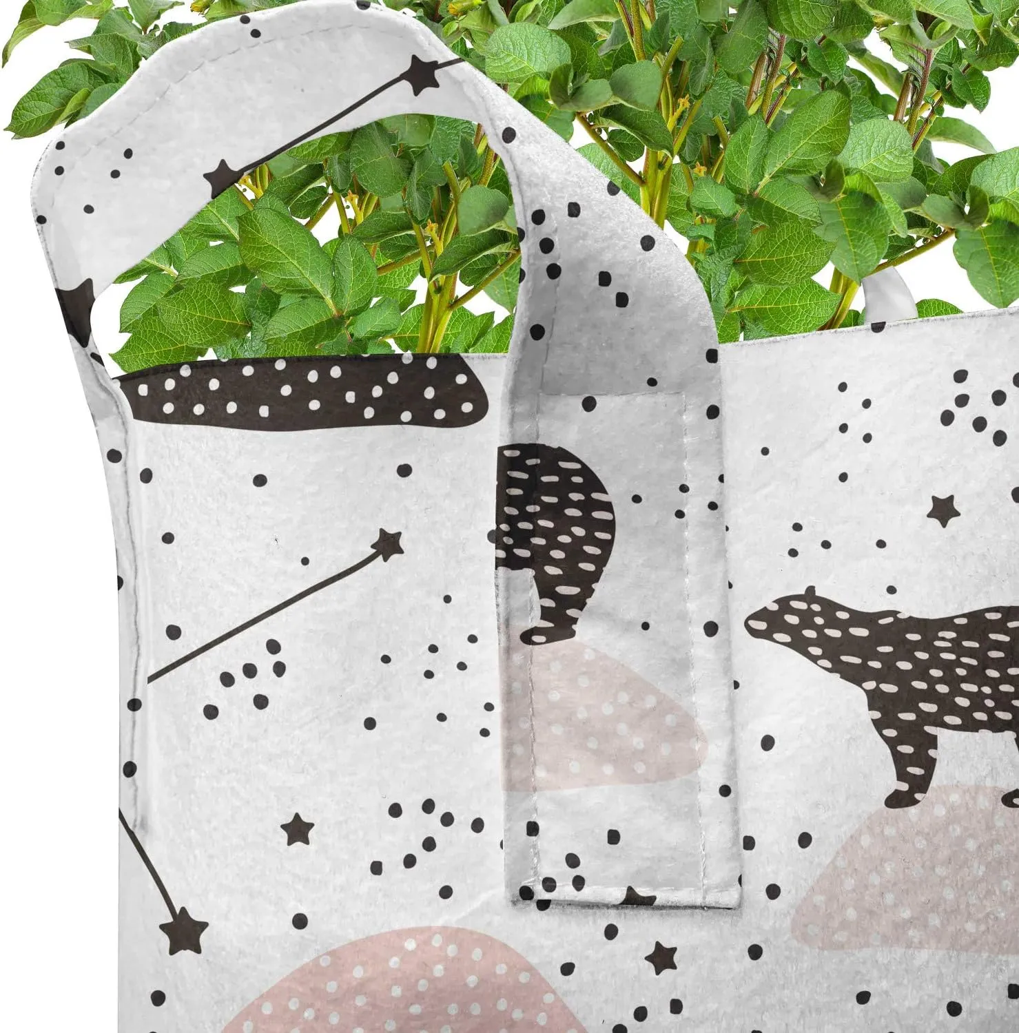 Lunarable Constellation Grow Bags 5-Pack, Polar Bear on Boulder, Heavyduty Fabric Pots with Handles for Plants, 7 Gallon, Beige Tan Dark Taupe