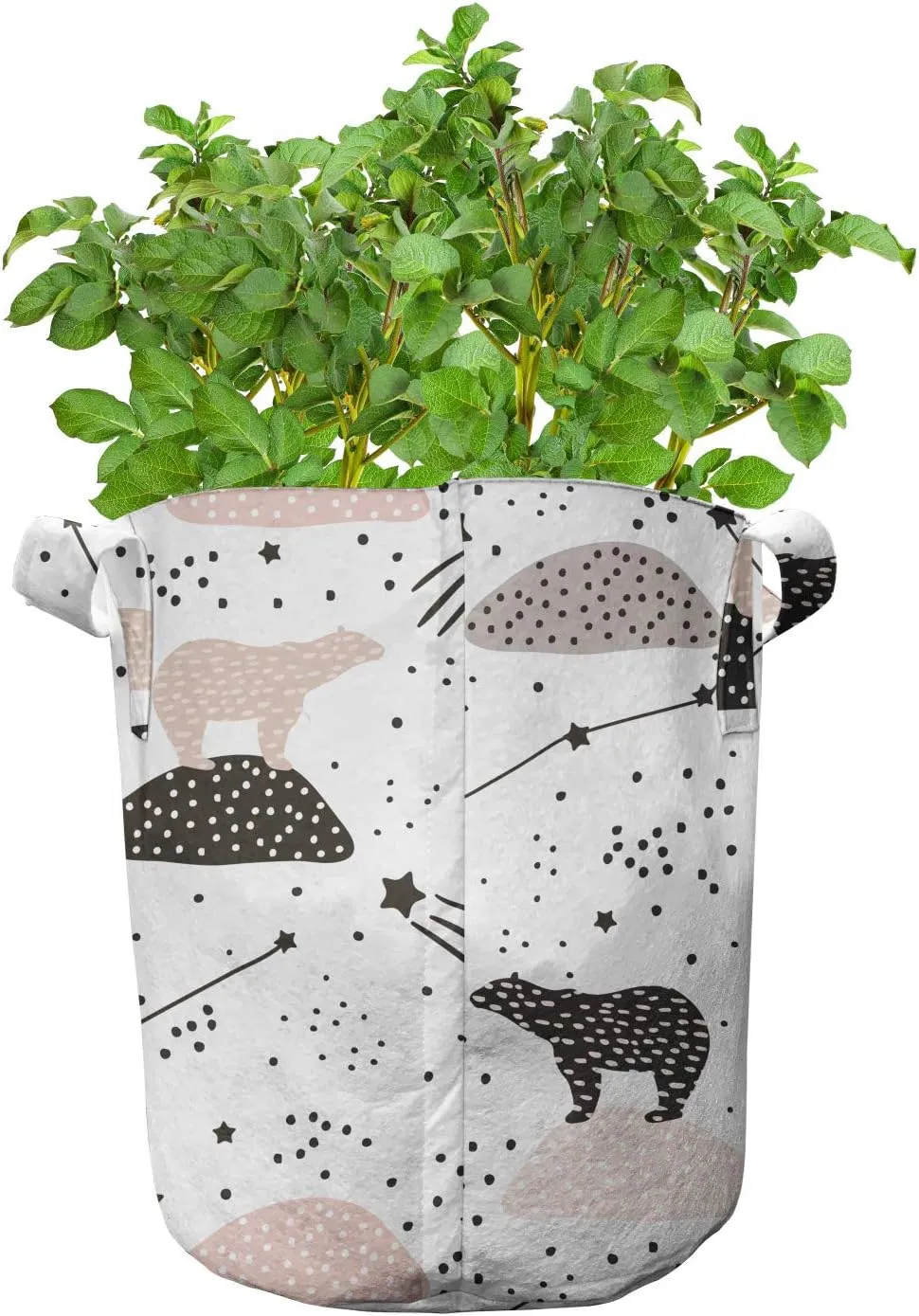 Lunarable Constellation Grow Bags 5-Pack, Polar Bear on Boulder, Heavyduty Fabric Pots with Handles for Plants, 7 Gallon, Beige Tan Dark Taupe