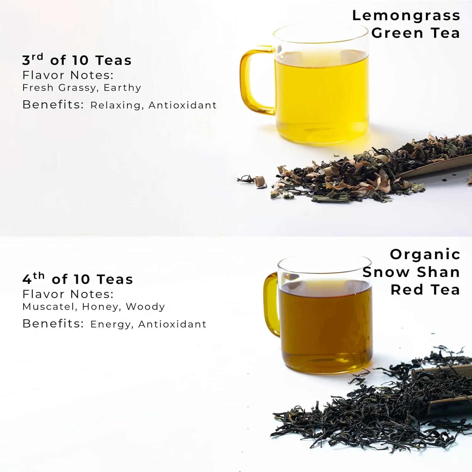 SACHS TEA 1773 Founder’s Assortment - 10 Premium Organic Full Leaf Teas (Green Tea, Black Tea, Red Tea, White Tea, Yellow Tea, Herbal Teas) | Flavor Notes (Fresh Floral, Roasted Fruit, Malty, Woody, Herbaceous, Vegetal, Earthy, Mineral) | Suger-Free, NON-
