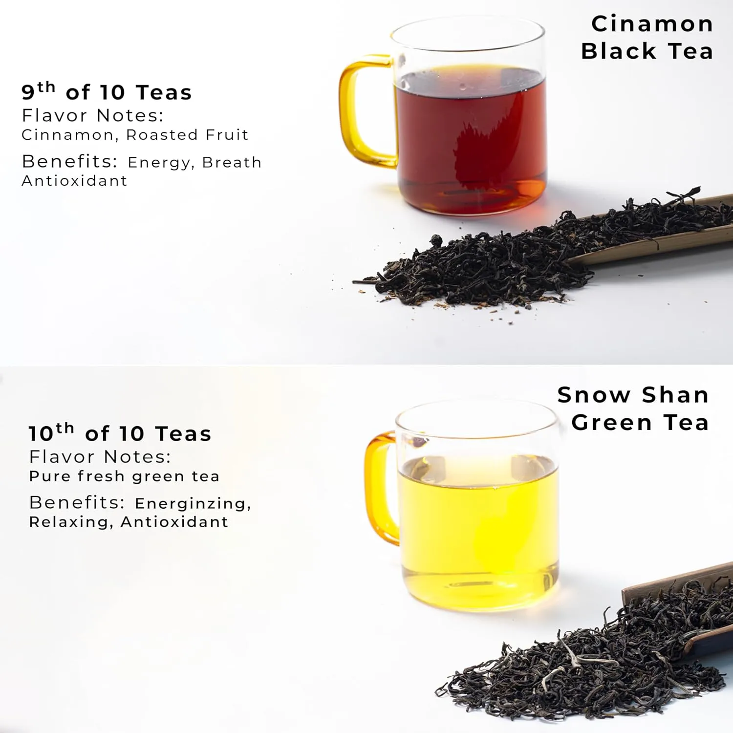 SACHS TEA 1773 Founder’s Assortment - 10 Premium Organic Full Leaf Teas (Green Tea, Black Tea, Red Tea, White Tea, Yellow Tea, Herbal Teas) | Flavor Notes (Fresh Floral, Roasted Fruit, Malty, Woody, Herbaceous, Vegetal, Earthy, Mineral) | Suger-Free, NON-