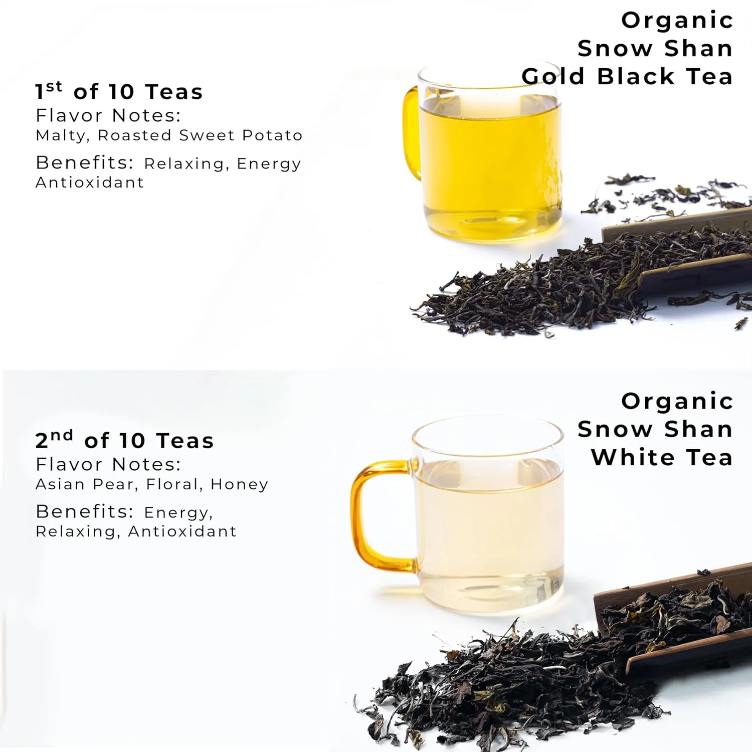 SACHS TEA 1773 Founder’s Assortment - 10 Premium Organic Full Leaf Teas (Green Tea, Black Tea, Red Tea, White Tea, Yellow Tea, Herbal Teas) | Flavor Notes (Fresh Floral, Roasted Fruit, Malty, Woody, Herbaceous, Vegetal, Earthy, Mineral) | Suger-Free, NON-