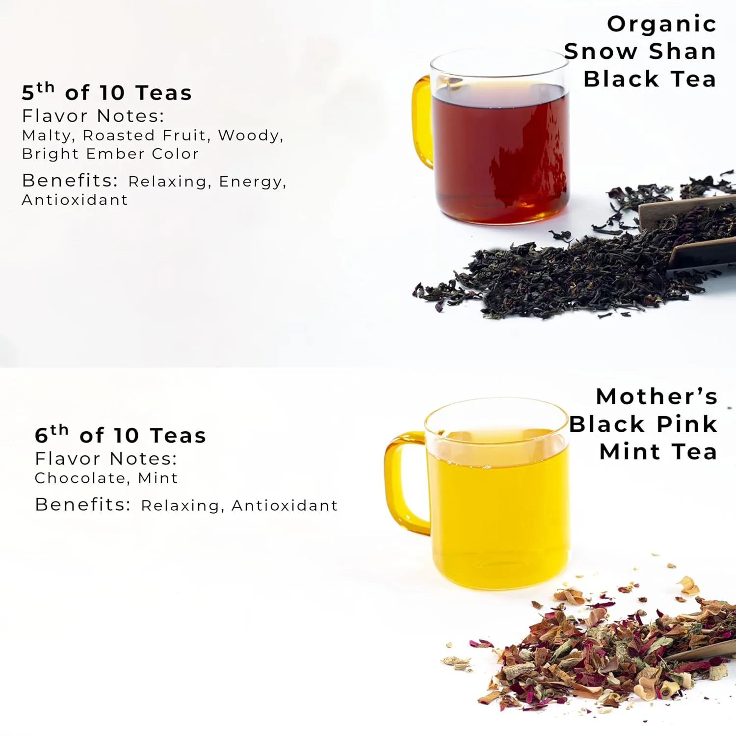 SACHS TEA 1773 Founder’s Assortment - 10 Premium Organic Full Leaf Teas (Green Tea, Black Tea, Red Tea, White Tea, Yellow Tea, Herbal Teas) | Flavor Notes (Fresh Floral, Roasted Fruit, Malty, Woody, Herbaceous, Vegetal, Earthy, Mineral) | Suger-Free, NON-