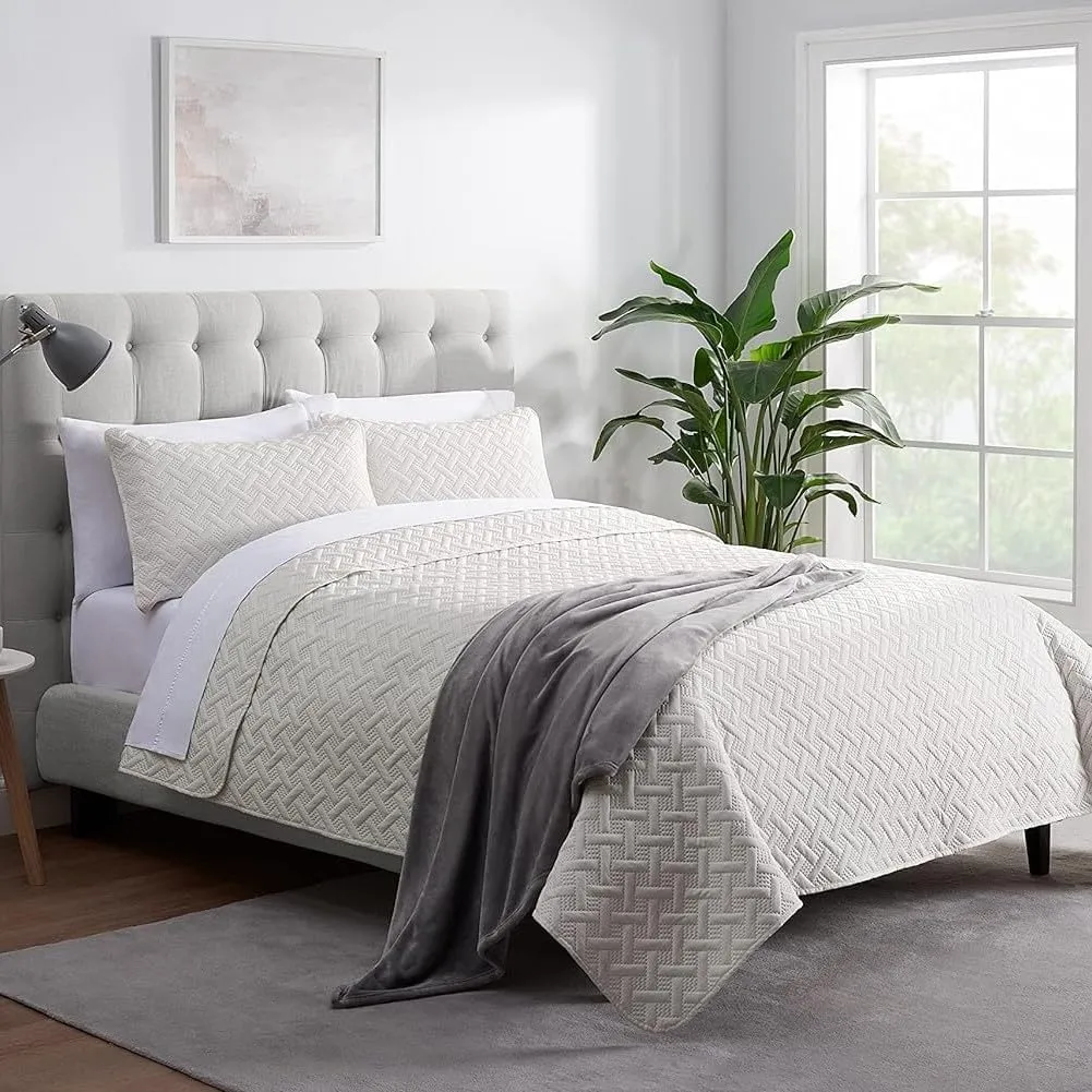 SERTA Cozy Plush Thick Fuzzy Super Soft Lightweight Throw Blanket for Bed, Couch, or Travel, Twin (60 in x 80 in), Grey