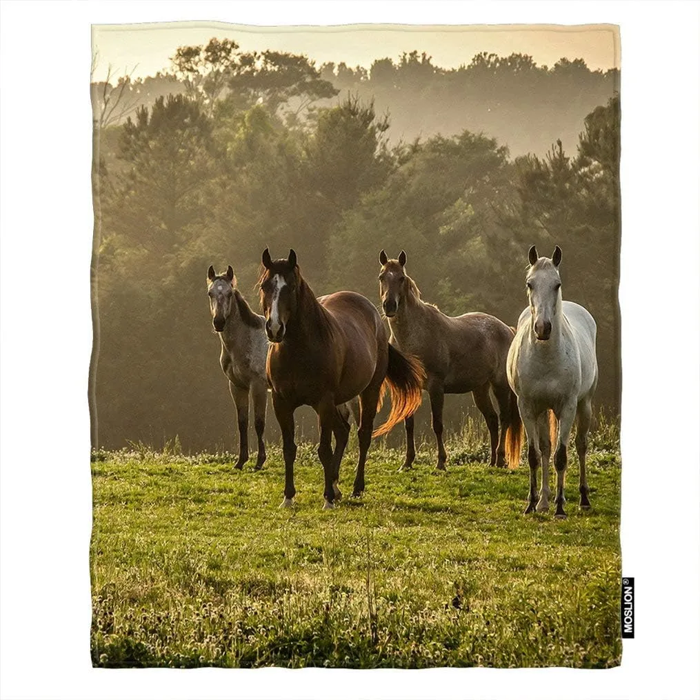 Soft Cozy Throw Blanket Horse On The Prairie Pasture Fuzzy Warm Couch/Bed Blanket for Adult/Youth Polyester 40 X 50 Inches(Home/Travel/Camping Applicable)