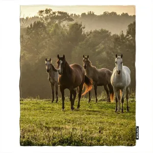 Soft Cozy Throw Blanket Horse On The Prairie Pasture Fuzzy Warm Couch/Bed Blanket for Adult/Youth Polyester 40 X 50 Inches(Home/Travel/Camping Applicable)