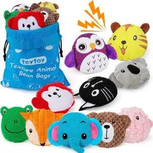 teytoy Sensory Bean Bag for Kids 10 Pack,Texture Sensory Beanbags,Sensory Toys for Autism,Animal Sensory Fine Motor Toys with Storage Bag for Boys and Girls