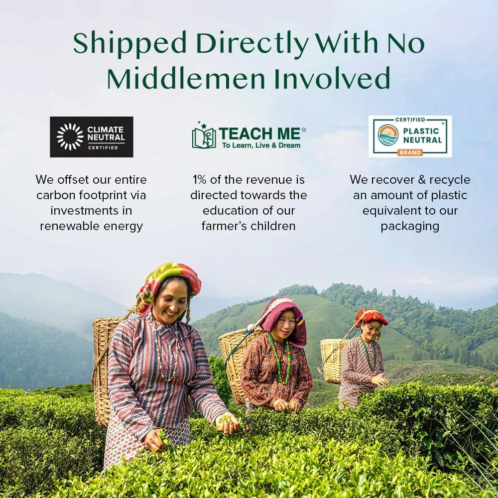 VAHDAM, Organic Himalayan Green Tea (100 Count) High Grown, Non GMO, Gluten Free, Low Caffeine | Earthy & Smooth | Resealable & Plant-Based Pyramid Tea Bags